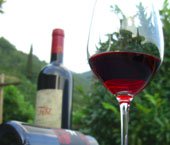 best-of-wein2